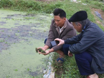 Con vật thịt giòn ngọt này nuôi chả tốn một xu tiền cám nào, "ủ ấm" qua mùa đông, nông dân này ở Thanh Hóa bán là trúng