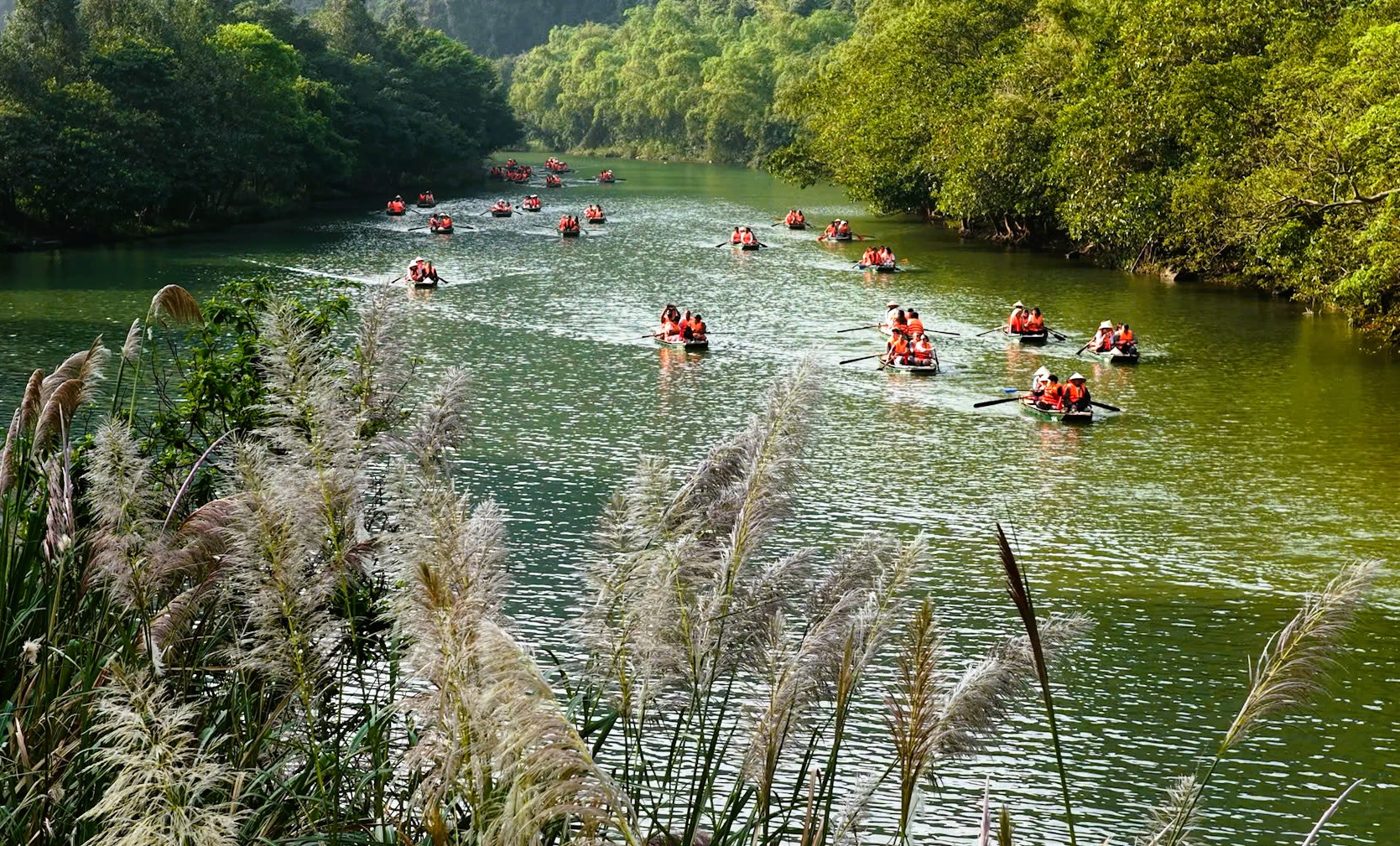 Tràng An Say Đắm Lòng Người Mùa Lau Sậy Trổ Bông Tràng An Say Đắm Lòng Người Mùa Lau Sậy Trổ Bông - 10