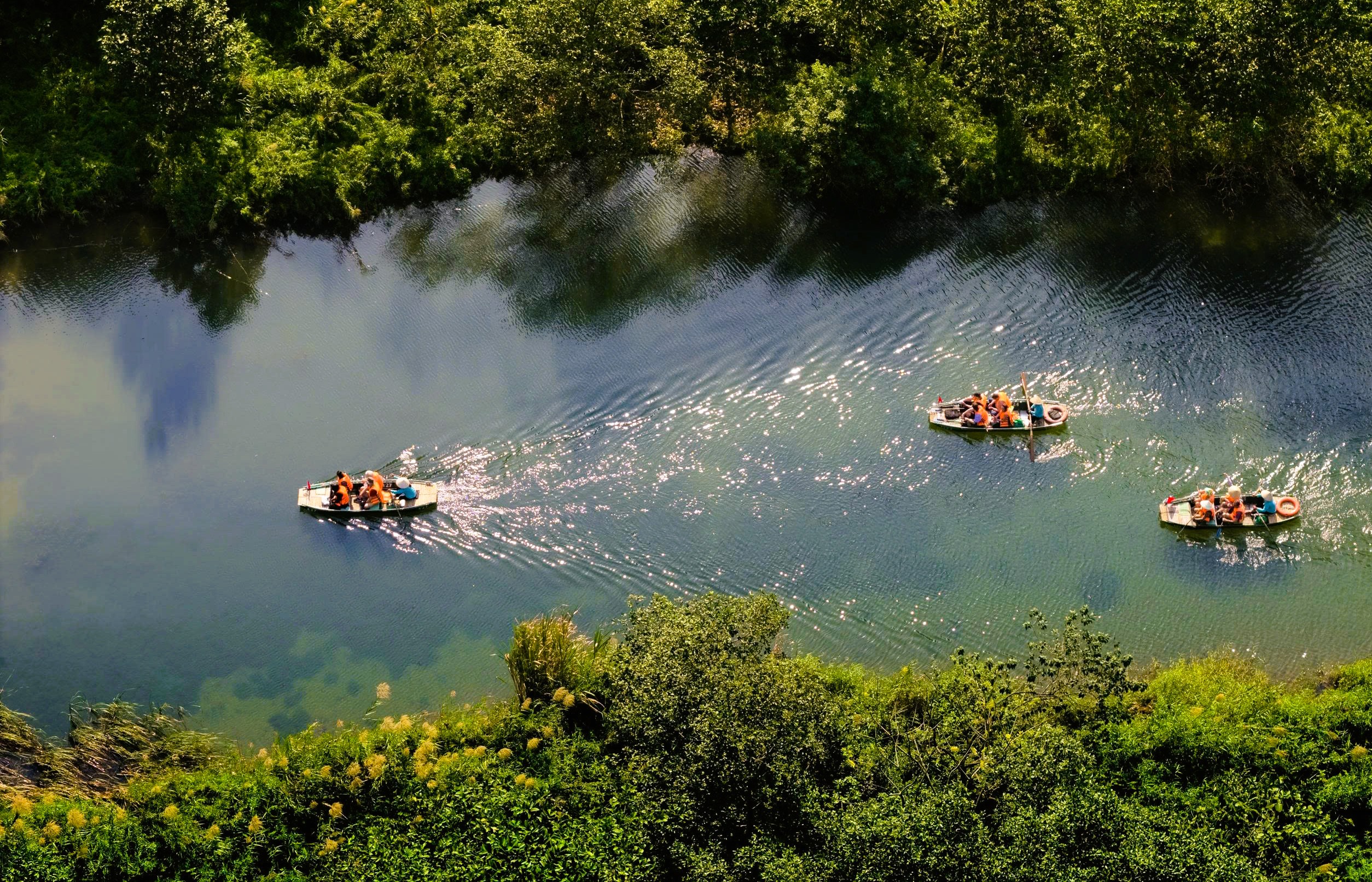 Tràng An Say Đắm Lòng Người Mùa Lau Sậy Trổ Bông Tràng An Bình Thường Đã Rất Đẹp, Mùa Lau Trắng Tràng An Càng Làm Đắm Say Lòng Người