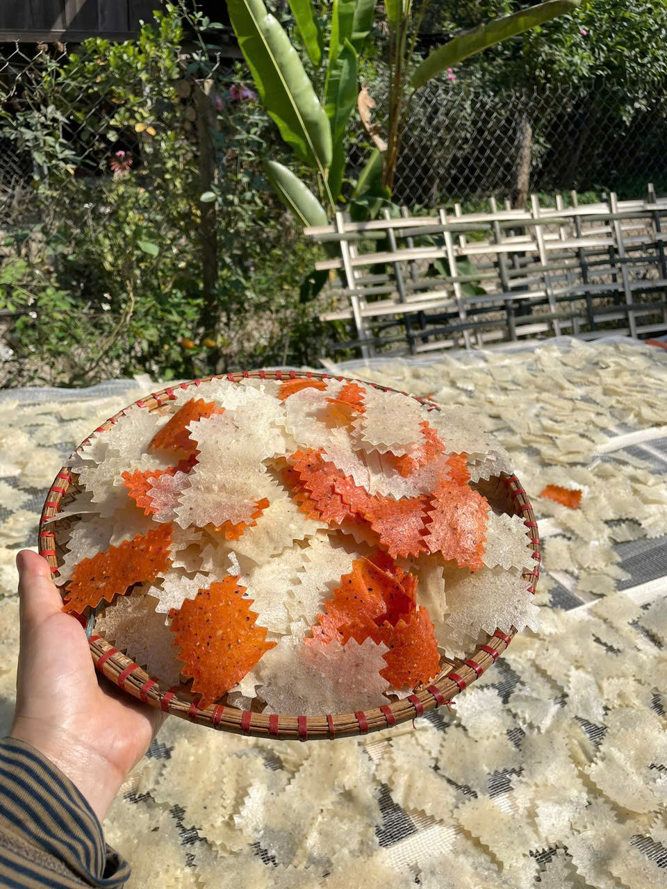 Đặc sản đón năm mới ở Điện Biên ăn giòn rụm, khách đặt ship 500km về làm quà - 1