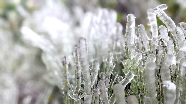 Băng Giá Phủ Trắng Cao Bằng Sáng Nay.