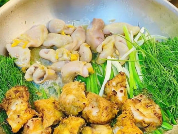 Loại cá chứa Omega-3 ngang cá hồi, thịt thơm hơn cá mú, làm món đặc sản Hà thành thơm ngon bất bại