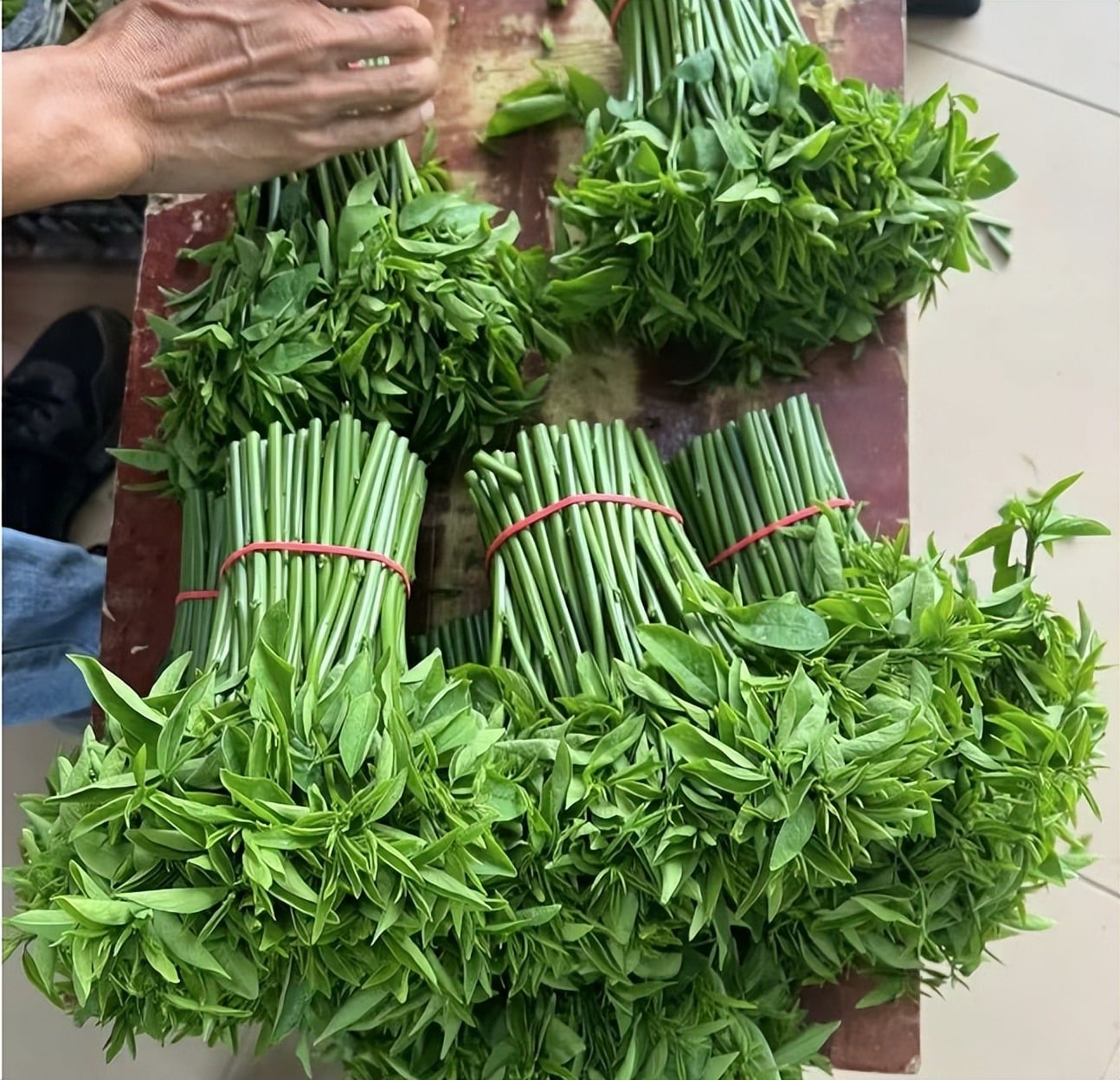 Loại rau dân dã, tươi ngon, giòn tan, ăn vào mùa đông giúp, giải độc gan, hỗ trợ giấc ngủ, bảo vệ mắt - 3