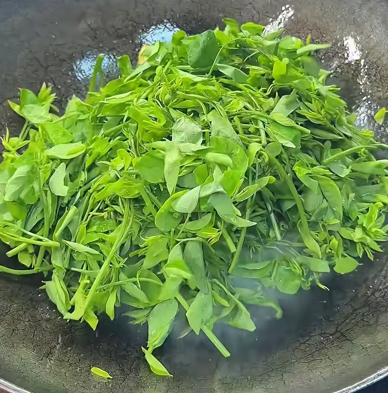 Loại rau dân dã, tươi ngon, giòn tan, ăn vào mùa đông giúp, giải độc gan, hỗ trợ giấc ngủ, bảo vệ mắt - 9