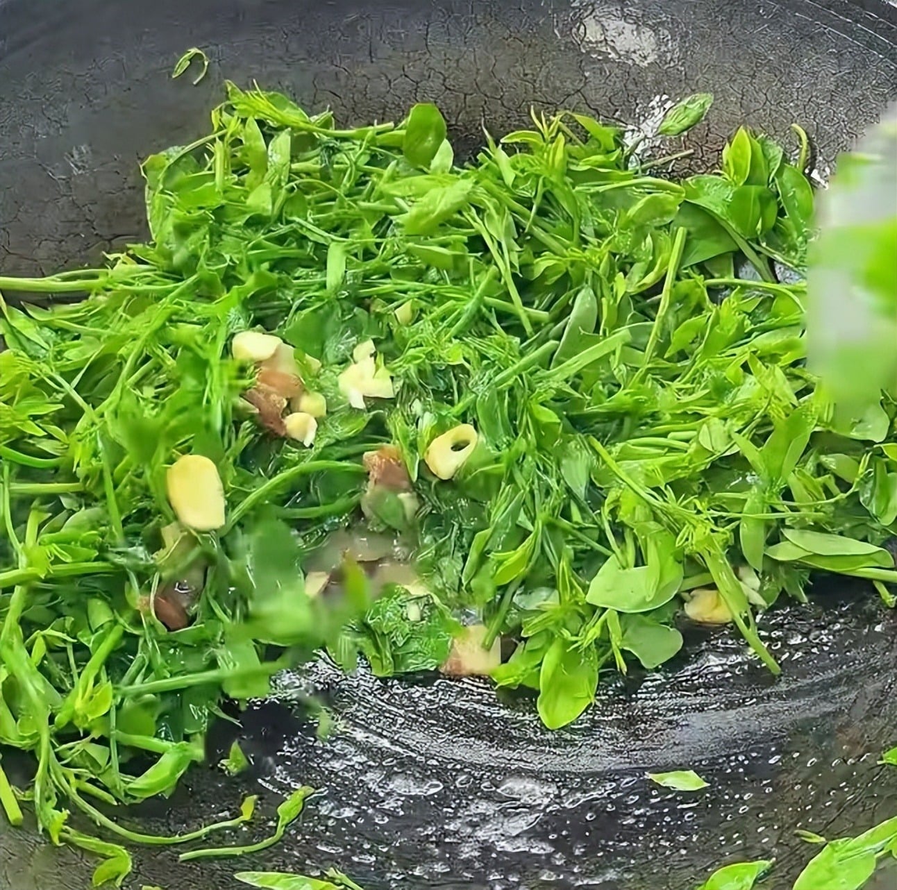 Loại rau dân dã, tươi ngon, giòn tan, ăn vào mùa đông giúp, giải độc gan, hỗ trợ giấc ngủ, bảo vệ mắt - 10