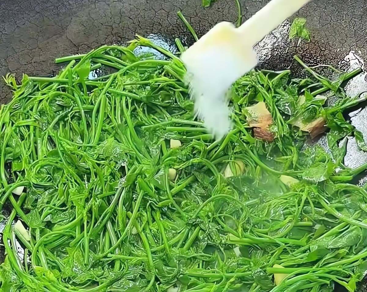 Loại rau dân dã, tươi ngon, giòn tan, ăn vào mùa đông giúp, giải độc gan, hỗ trợ giấc ngủ, bảo vệ mắt - 11