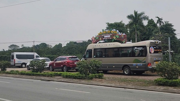 Rất nhiều xe ô tô của du khách tập trung tại vườn bưởi Diễn. Ảnh Việt Anh.