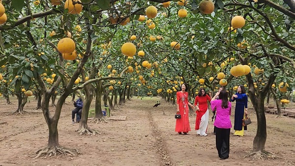 Chị em a classTextlinkBaiviet hrefhttps://eva.vn/phụ nữ/a xúng xính trong tà áo dài check - in. Ảnh: Việt Anh.