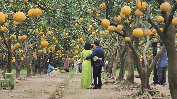 Cặp đôi cũng đến đây để sống ảo. Ảnh: Việt Anh.