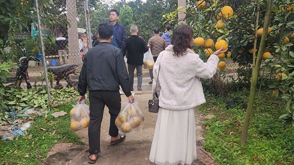 Nhiều bạn trẻ rời vườn với nụ cười rạng rỡ, tay xách những túi bưởi nặng trĩu. Ảnh: Việt Anh.