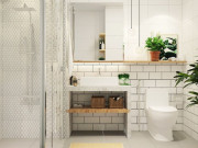 6 loại cây cảnh trồng trong nhà vệ sinh vừa đẹp vừa hút khí xấu và vị trí không nên đặt để đem lại trường khí phong thủy tốt