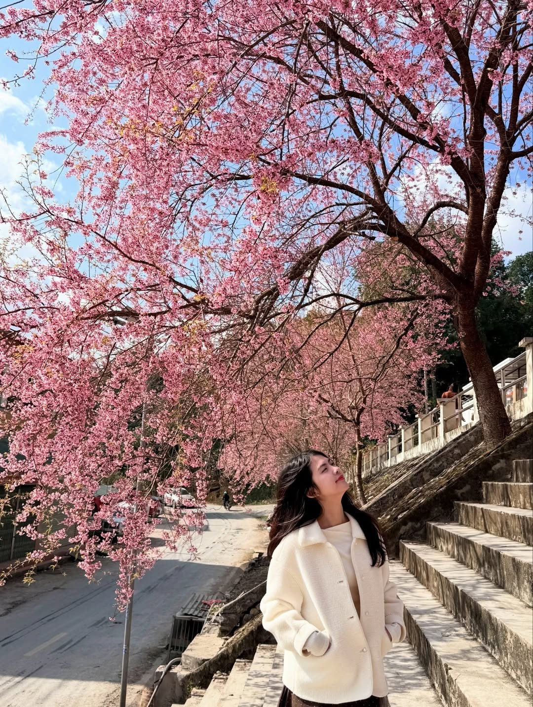 Săn hoa đào sớm ở miền Bắc: Tà Xùa amp;#34;thêm góiamp;#34; ngắm mây, đi Hà Giang tiện chụp áo dài - 8