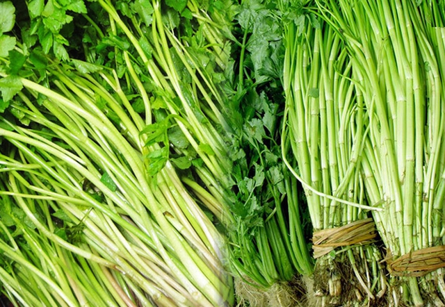 Trong rau cần nước có chứa các hoạt chất chống oxy hóa và chống độc, có khả năng ức chế một số tác nhân gây tổn thương tế bào. Nhờ đó, rau cần nước được cho là có tác dụng hỗ trợ phòng ngừa nguy cơ ung thư.