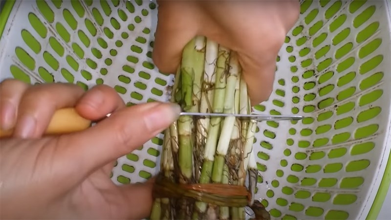 Loại rau giàu chất chống oxy hóa, hỗ trợ phòng ngừa ung thư, đang vào mùa bán đầy ở chợ Việt - 5