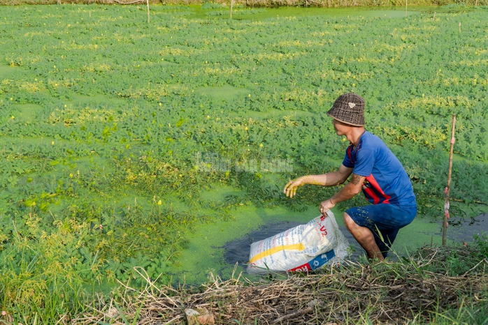 “Nghề lội nước” kiếm tiền triệu mỗi ngày tại TPHCM - 4