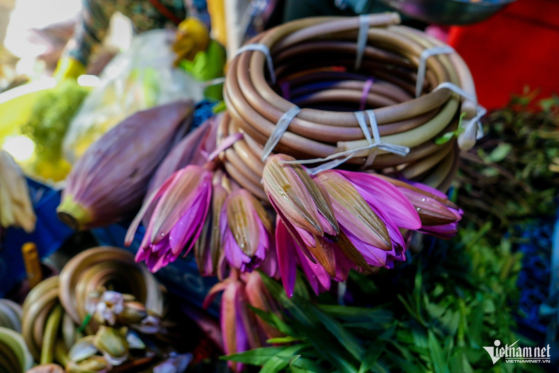 Các loại rau trời cho của miền Tây sông nước. Ảnh: Ngoại Tý/Linh Trang