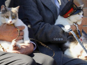 Clip Eva - Lạ mà có thật: Một chú mèo tam thể được "bổ nhiệm" làm trưởng ga tàu của Nhật, khách du lịch "nườm nượp" tới xem