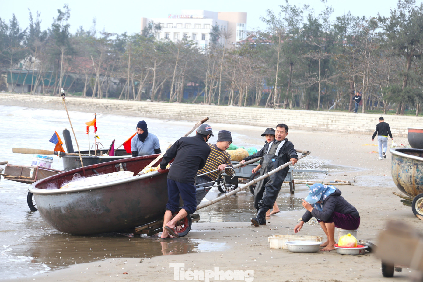 Rộn ràng phiên chợ cá trên biển Cửa Lò - 3