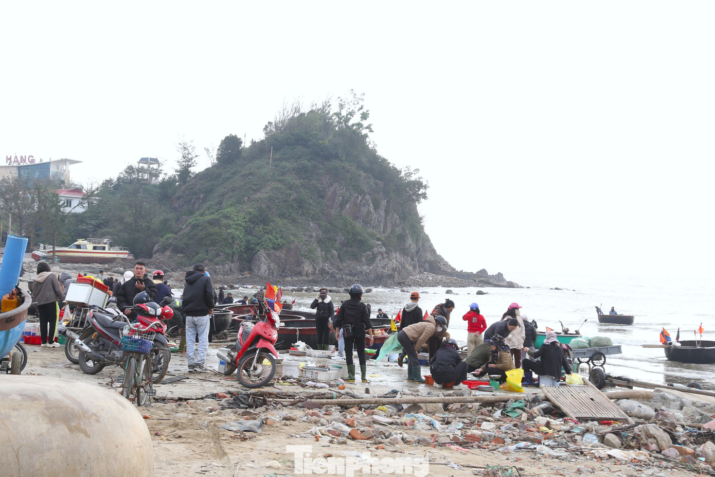 7 giờ sáng 11/1, dọc bãi biển Cửa Lò (Nghệ An), những chiếc thuyền thúng lần lượt cập bờ sau chuyến ra khơi ngắn. Trên thuyền là đầy ắp cá, tôm, mực, ghẹ tươi rói. Trên bờ, người dân địa phương và du khách đã đứng chờ sẵn, tạo khung cảnh mua bán sôi động.