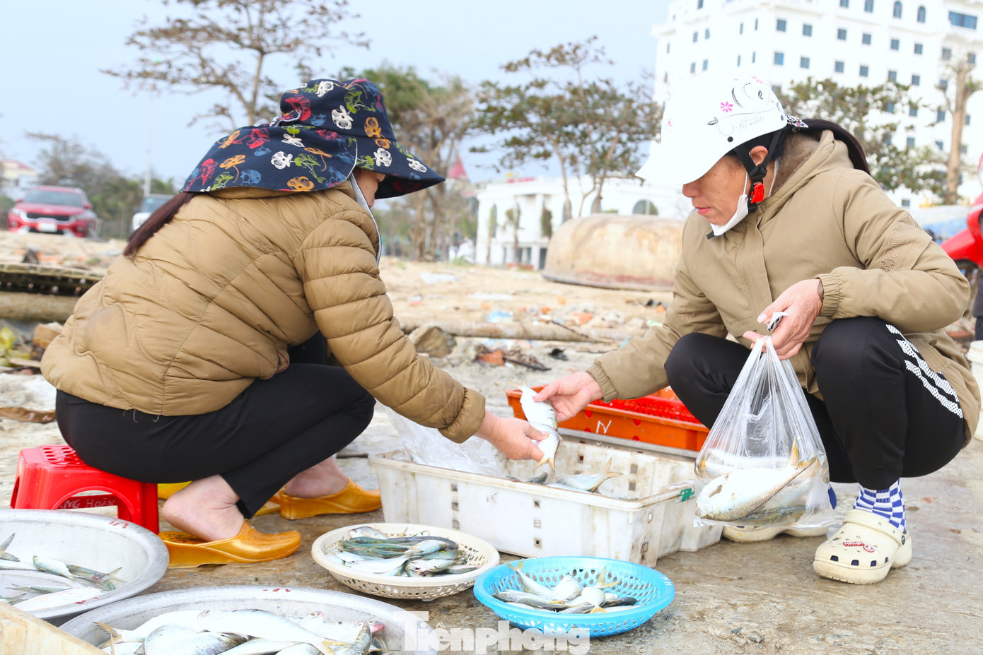 Rộn ràng phiên chợ cá trên biển Cửa Lò - 7