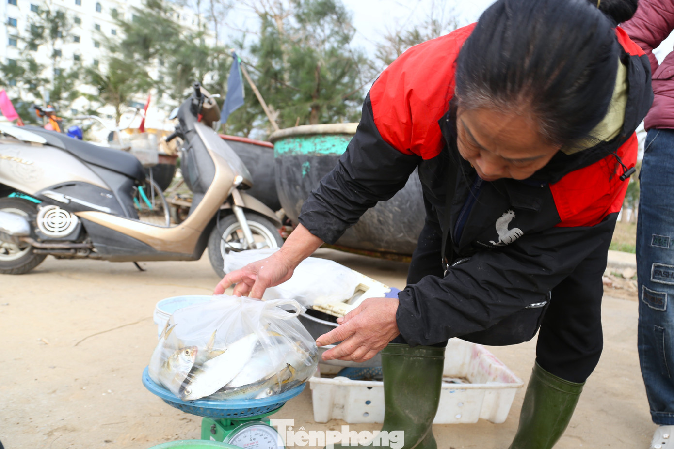 Rộn ràng phiên chợ cá trên biển Cửa Lò - 11