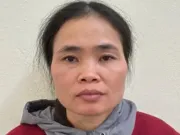 Tin tức - Cháu dâu sát hại bác gái rồi cướp bông tai vàng