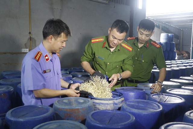 Hàng tấn giá đỗ ngâm hóa chất được cơ quan chức năng phát hiện. Ảnh: Công an Nghệ An