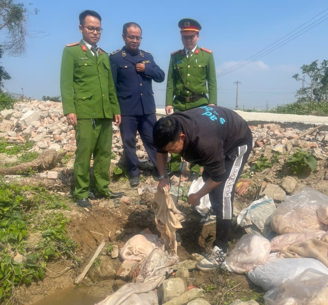 1 tấn da lợn bốc mùi được đưa đi tiêu hủy theo đúng quy định, tránh nguy cơ phát tán ra thị trường dịp Tết.