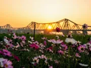 Clip Eva - Miền hoa đẹp như tranh dưới chân cầu Long Biên