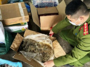 Tin tức - Thực phẩm bẩn liên tiếp bị phanh phui