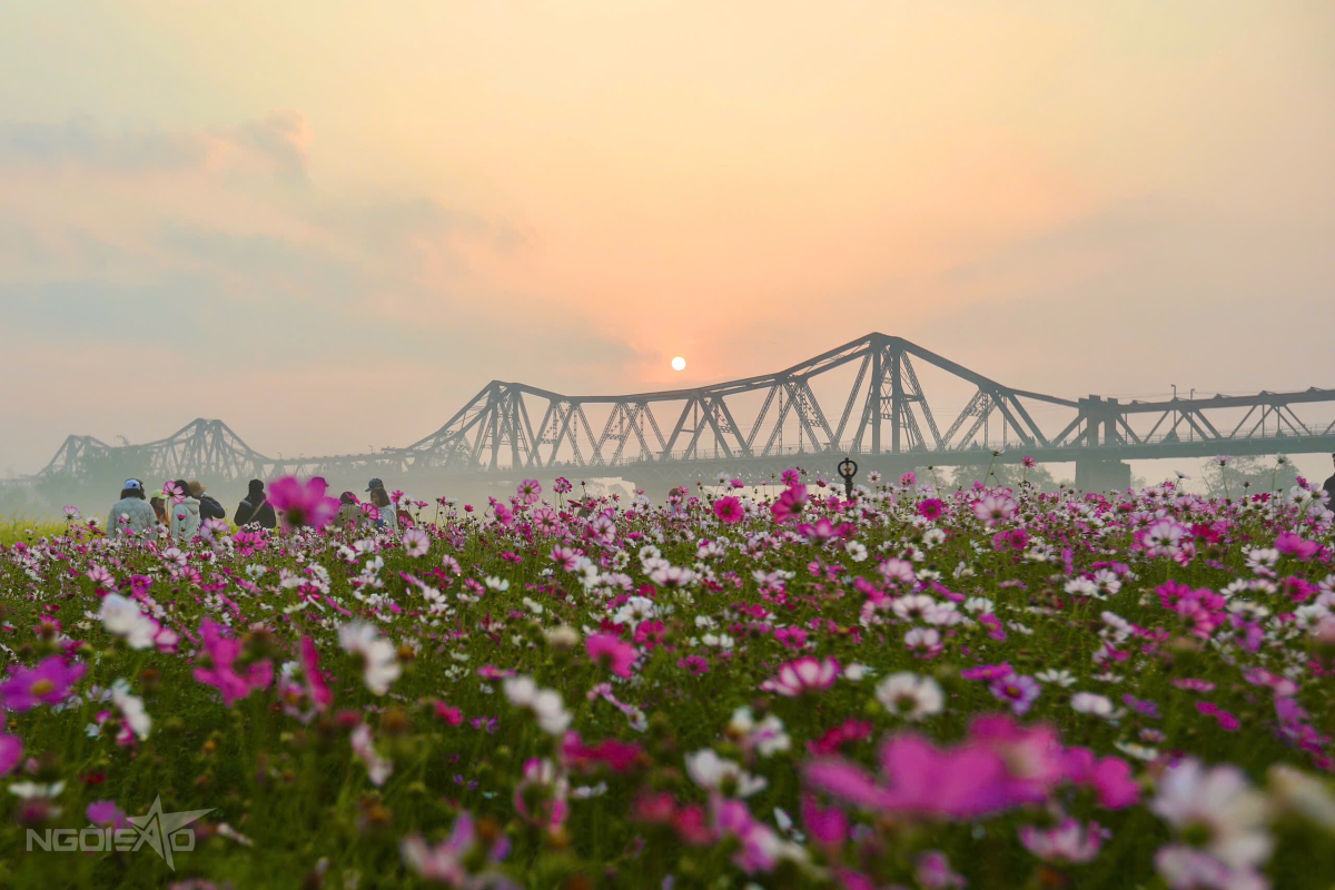 Đây Là Công Trình Do Hội Liên Hiệp Phụ Nữ, Hội Cựu Chiến Binh, Đoàn Thanh Niên Và Người Dân Phường Phúc Xá Phối Hợp Thực Hiện. So Với Các Năm Trước, Khu Vực Này Được Trồng Thêm Nhiều Loại Hoa, Trong Đó Có Hoa Cánh Bướm Và Hướng Dương.