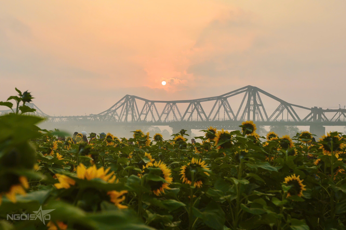 Bến Hoa Phúc Xá Cách Trung Tâm Thành Phố Hà Nội Chưa Đến 2 Km. Nếu Đi Từ Đền Quán Thánh, Thời Gian Di Chuyển Chỉ Khoảng 9 Phút Với Quãng Đường 2,7 Km Khi Đi Bằng Xe Máy Và Ô Tô.