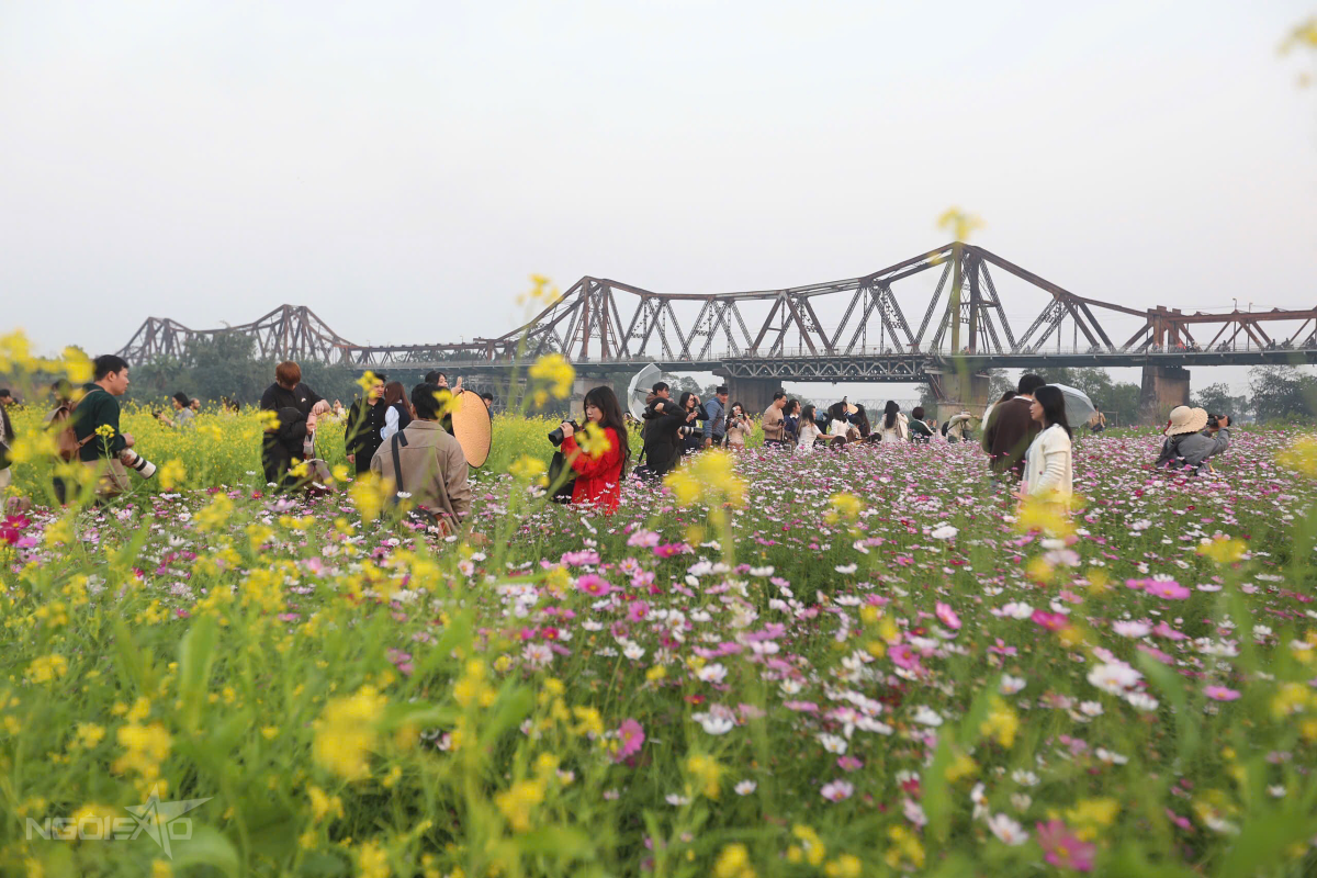 Chị Hương (50 Tuổi) Cùng Nhóm Bạn Lựa Chọn Khu Vực Này Làm Điểm Chụp Ảnh Vì Thuận Tiện Và Không Mất Phí Tham Quan