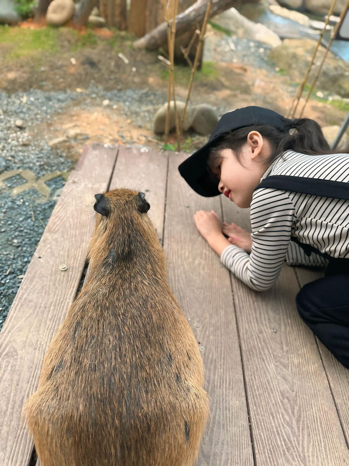 Bé thích chơi đùa với các loài vật.