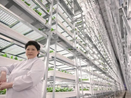 Bên cạnh Việt Nam có “chung cư trồng rau” cao nhất thế giới: Cao 23m, AI – robot vận hành, mỗi năm thu 2.000 tấn rau
