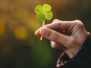 Eva tám - Xem ngay tháng may mắn năm 2026 theo thần số học của bạn