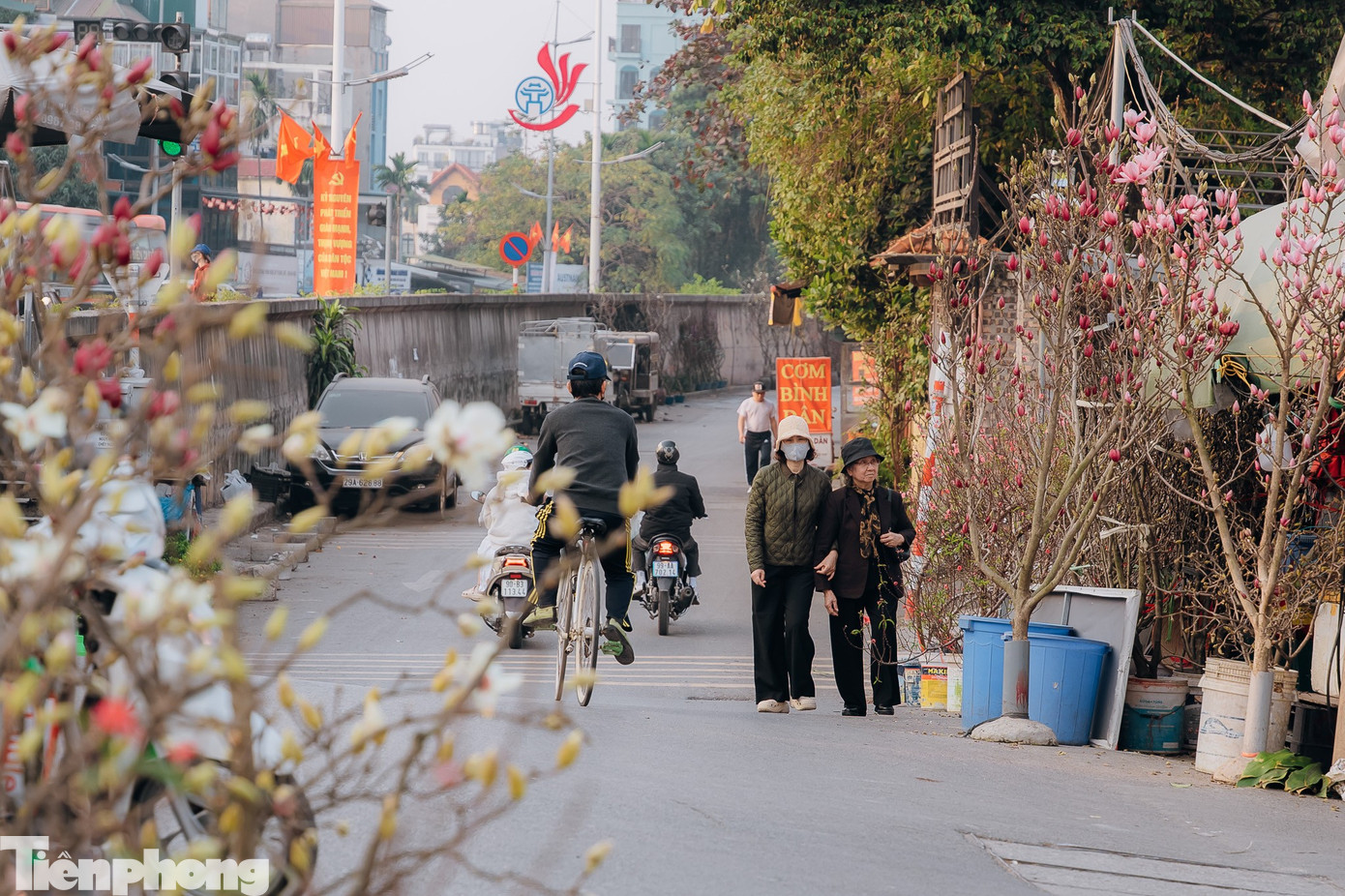 Tại chợ hoa Quảng An, các loại cành đào rừng được bày bán đa dạng.