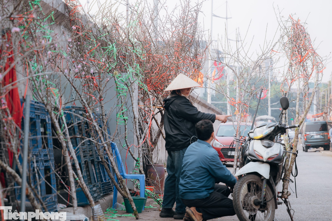 Nhiều khách hứng thú với những cành đào rừng Tây Bắc dáng lớn, có mức giá dao động từ khoảng một triệu đồng đến 2,5 triệu đồng mỗi cành.