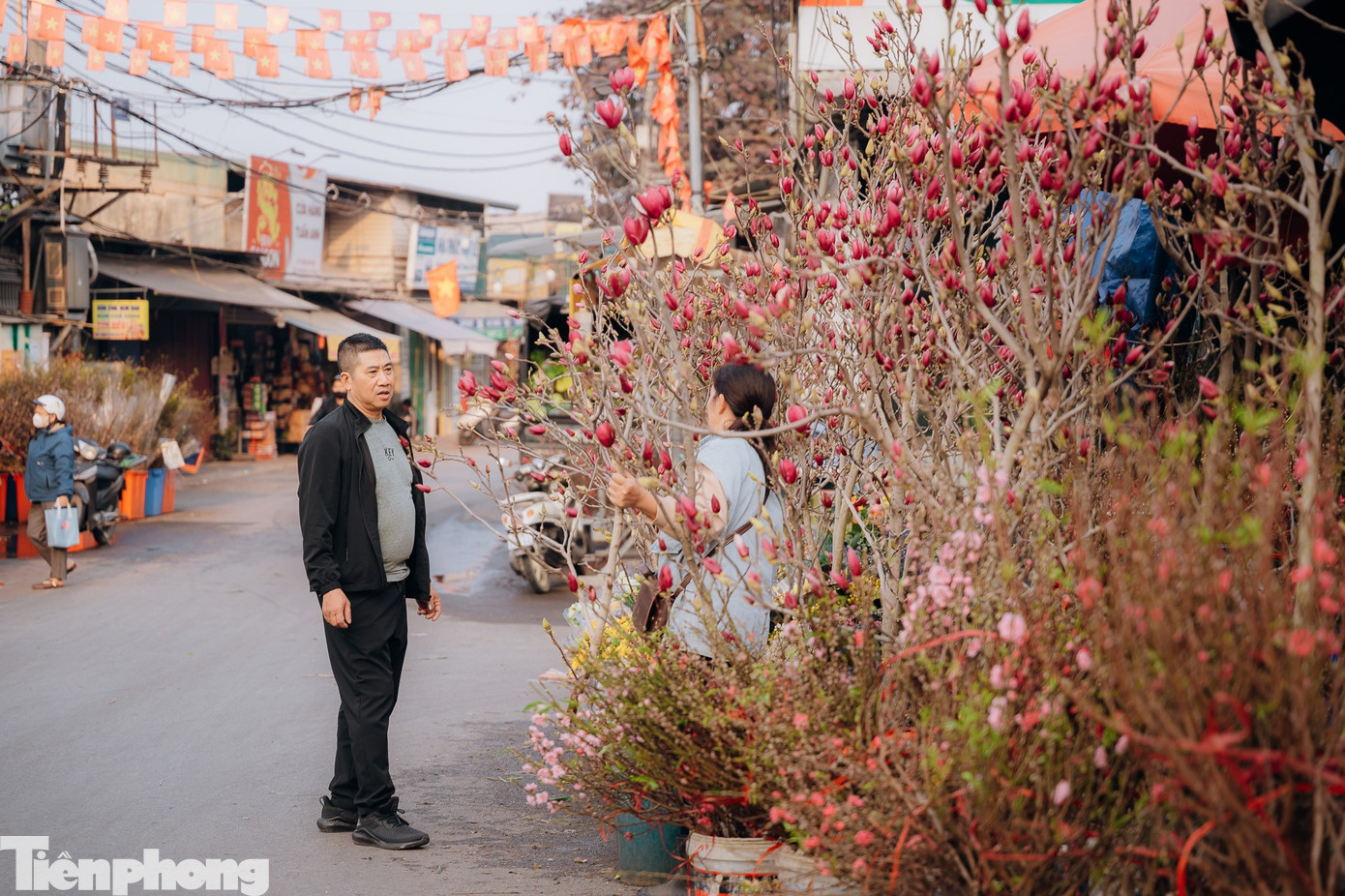 Nhiều người dân đến chợ từ sớm để chọn mua cành đào với giá phù hợp để trưng trước nhà, tạo không khí Tết sớm.