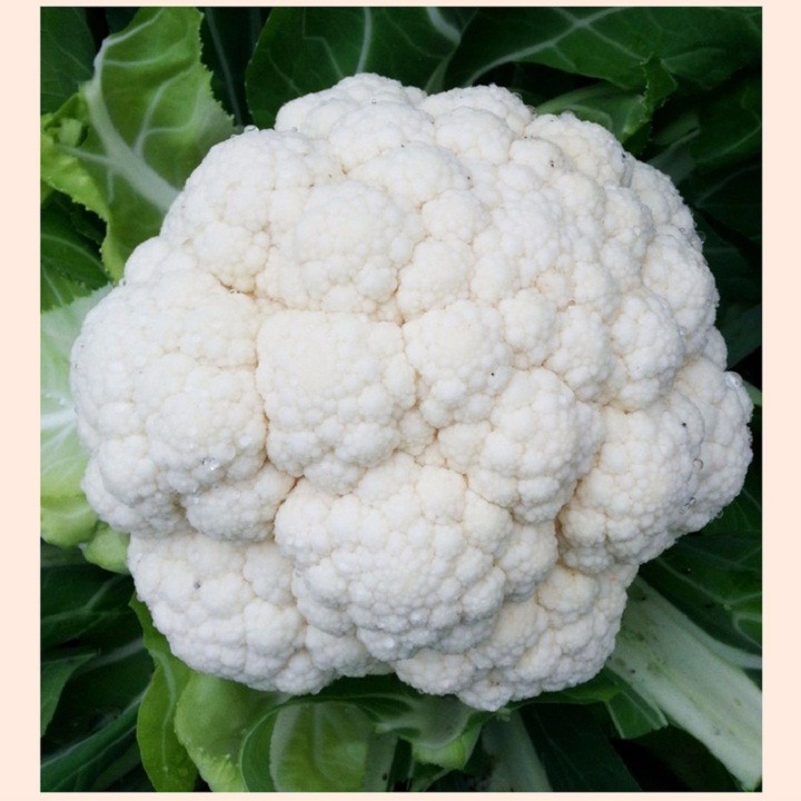 Bông cải trắng chứa sulforaphane - một hợp chất giàu lưu huỳnh có tác dụng tăng cường hệ thống chống oxy hóa và chống viêm. Hoạt chất này giúp cải thiện chức năng mạch máu, hỗ trợ lưu thông máu và góp phần giảm nguy cơ mắc các bệnh tim mạch.