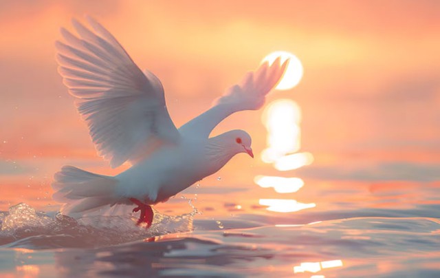 Sau tuổi 35, vận trình của người sinh ngày 7 Âm lịch bước vào giai đoạn thăng hoa rõ rệt - Ảnh minh họa.