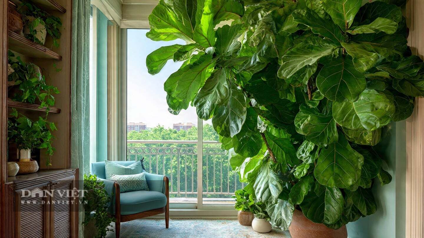 Trồng cây cảnh khiến bạn hạnh phúc