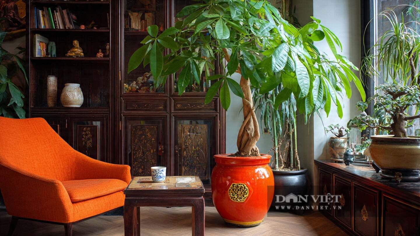 Đặt cây cảnh ở nơi có nhiều ánh sáng