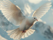 Bà bầu - Ngày sinh Âm lịch báo hiệu phúc lành: Dù vất vả đến đâu, sau 35 tuổi cũng chạm ngõ bình yên