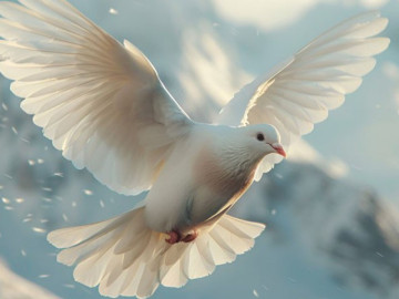 Ngày sinh Âm lịch báo hiệu phúc lành: Dù vất vả đến đâu, sau 35 tuổi cũng chạm ngõ bình yên