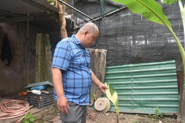 Anh Nhật Anh nhân giống thành công loài chuối mới.