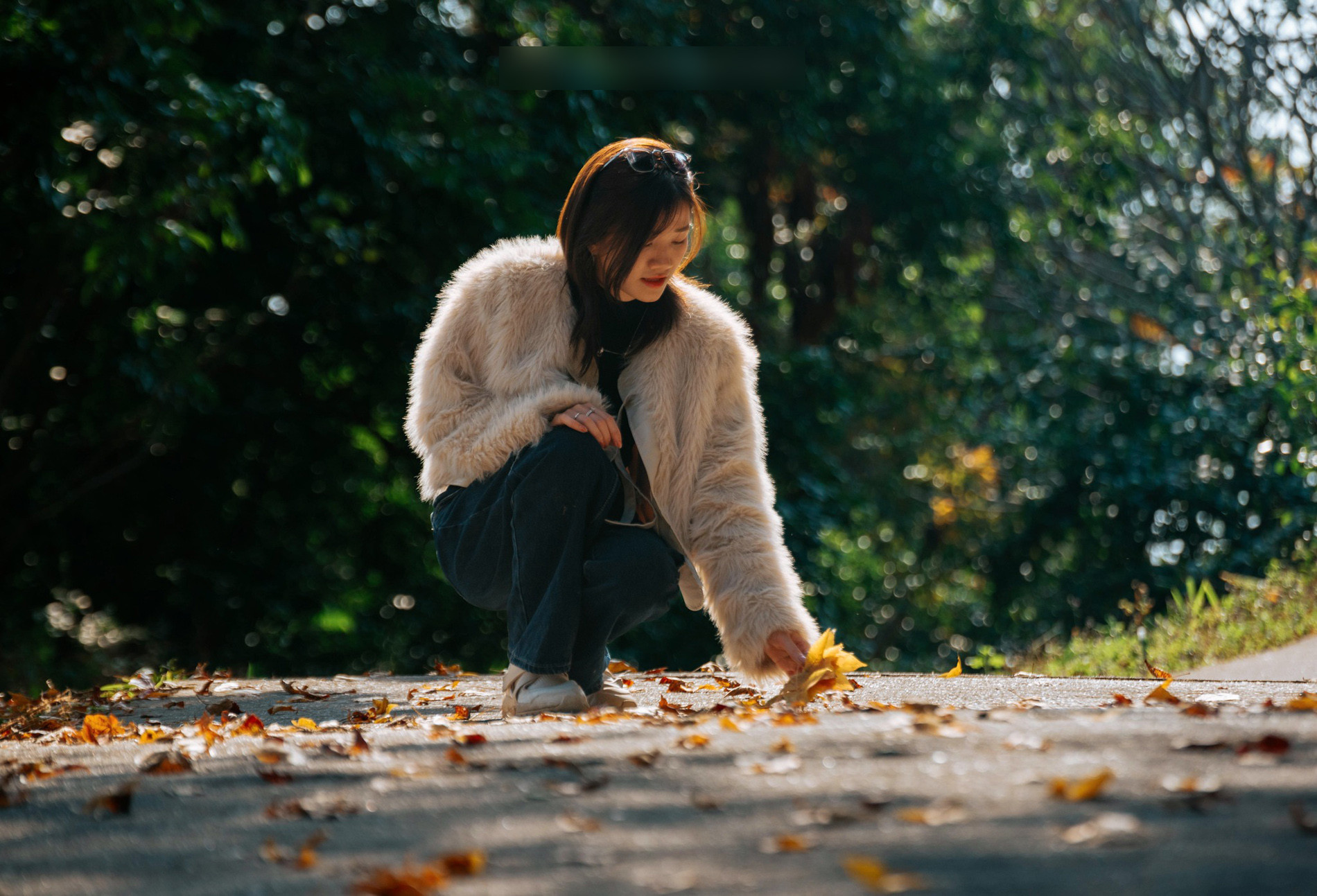 Rừng Phong Hương Gần Ngôi Chùa Cổ Ở Hải Phòng Hút Khách Check-In Mùa Thay Lá - 11