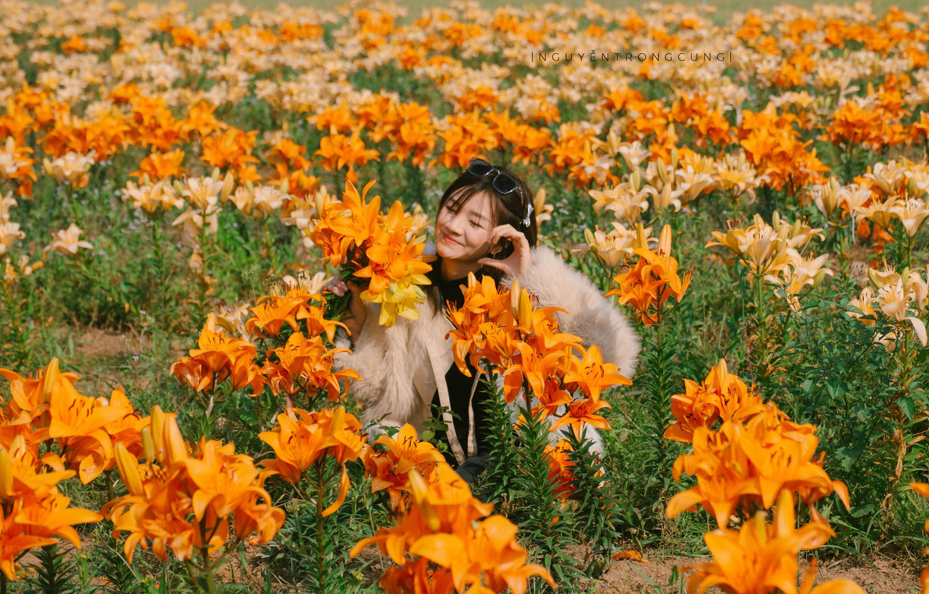 Rừng Phong Hương Gần Ngôi Chùa Cổ Ở Hải Phòng Hút Khách Check-In Mùa Thay Lá - 13