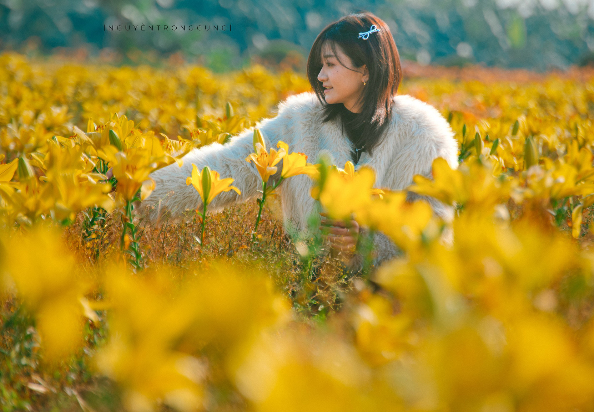 Rừng Phong Hương Gần Ngôi Chùa Cổ Ở Hải Phòng Hút Khách Check-In Mùa Thay Lá - 14