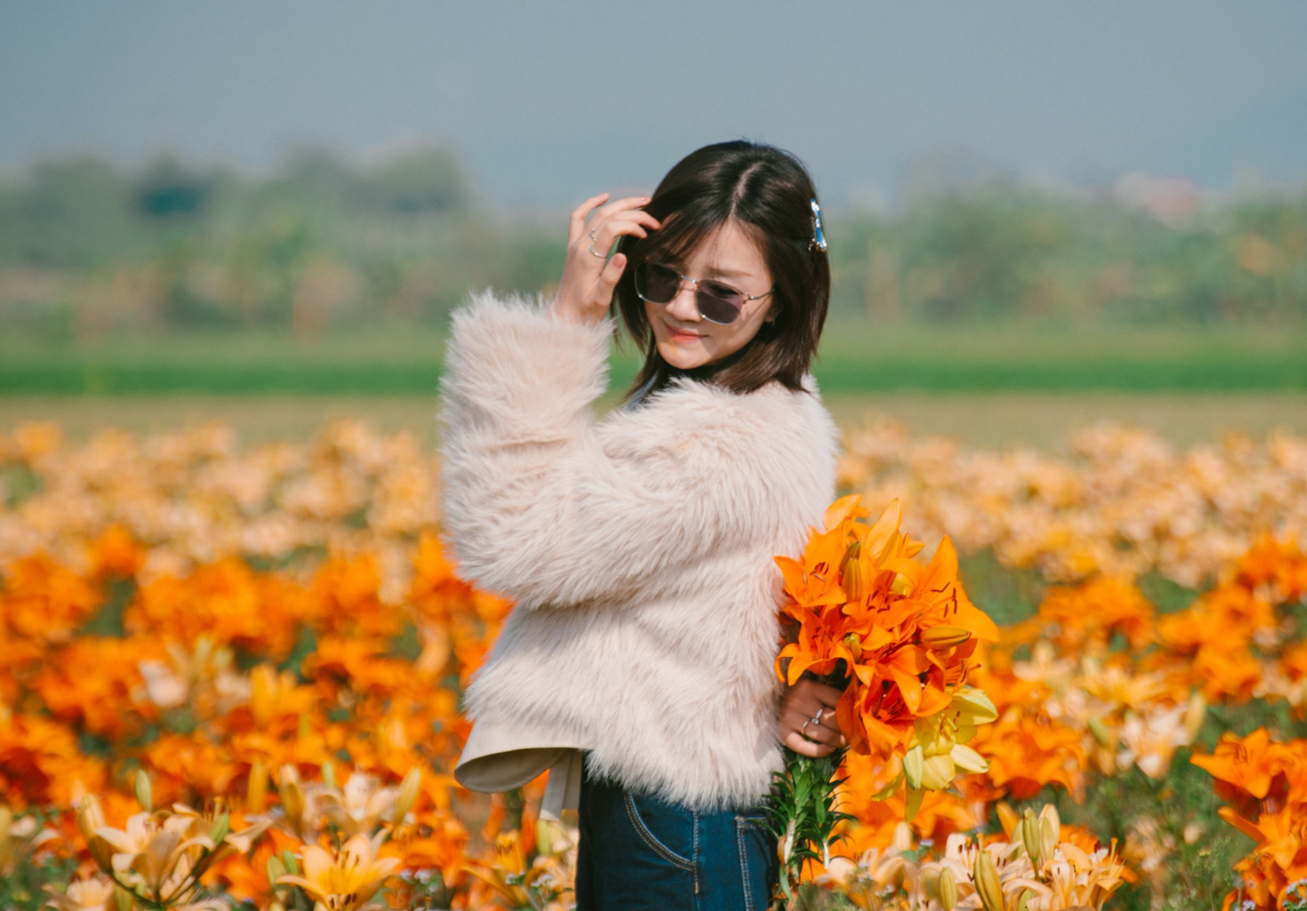 Rừng Phong Hương Gần Ngôi Chùa Cổ Ở Hải Phòng Hút Khách Check-In Mùa Thay Lá - 15